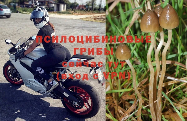 ГАЛЛЮЦИНОГЕННЫЕ ГРИБЫ Алексин