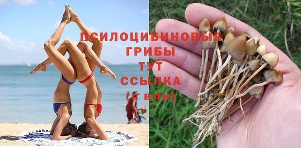 кокаин Алексеевка