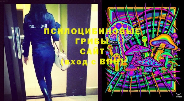 бошки Алзамай